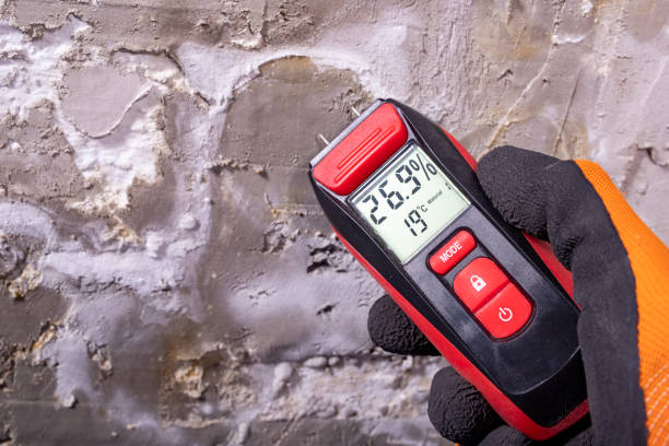 Best Residential Mold Removal  in Bridgetown, OH